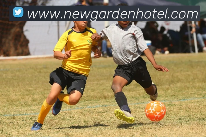 赛事专题整合